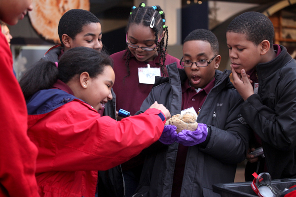 Students examines a human brain at a Brain Awareness event at the National Museum of Health and Medicine. 